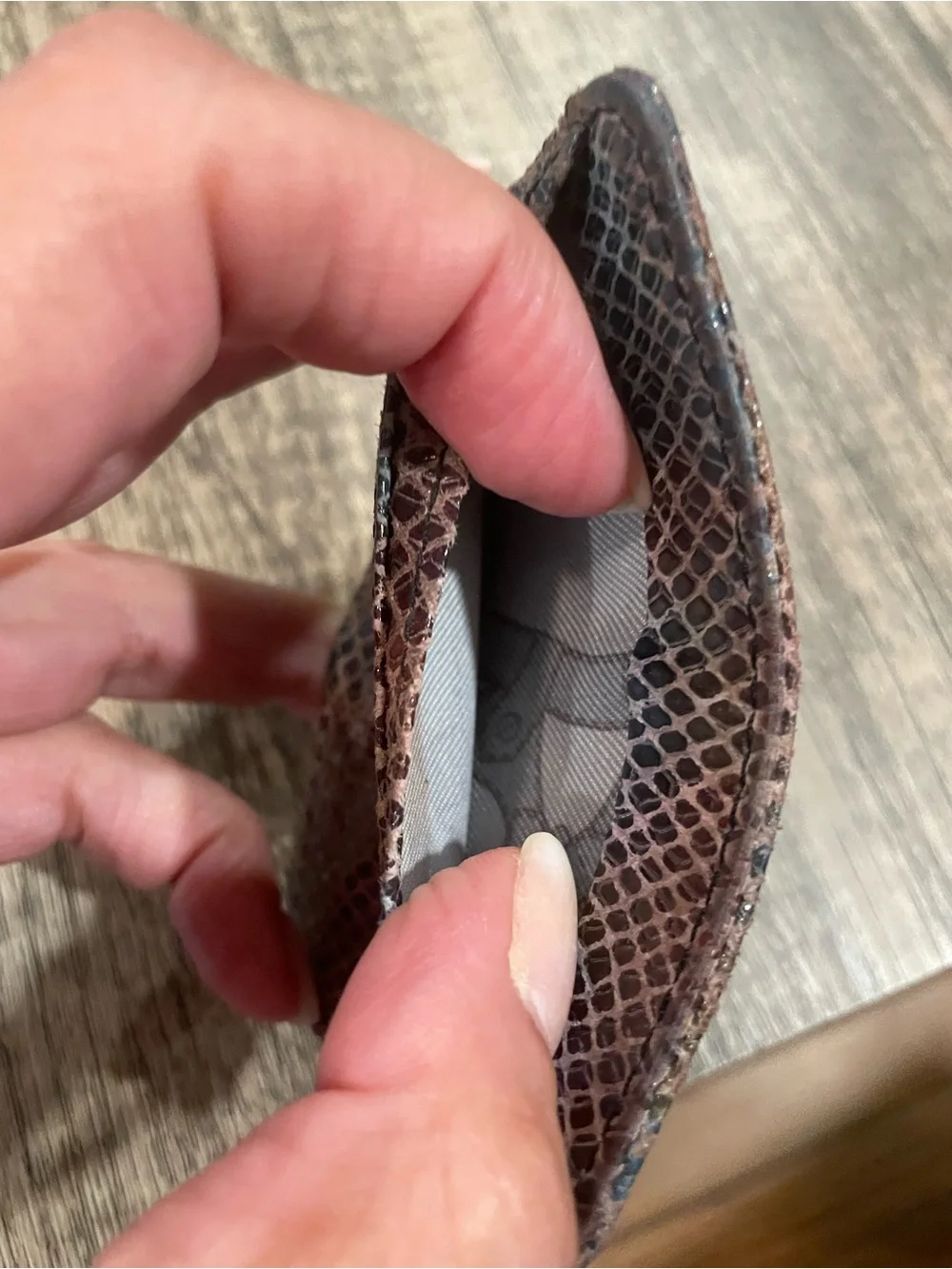 Aimee Kestenberg Brown and Black Snake-Embossed Leather Card Holder